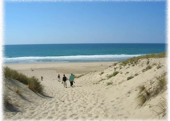 Lecouture * Saugnac-et-Cambran